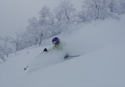 Otaru Powder Tours