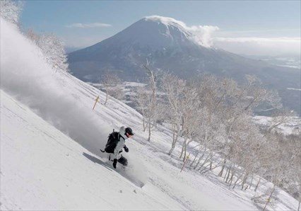 Guided Photography Tours Niseko